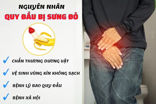 Có nhiều nguyên nhân là quy đầu dương vật bị sưng đỏ