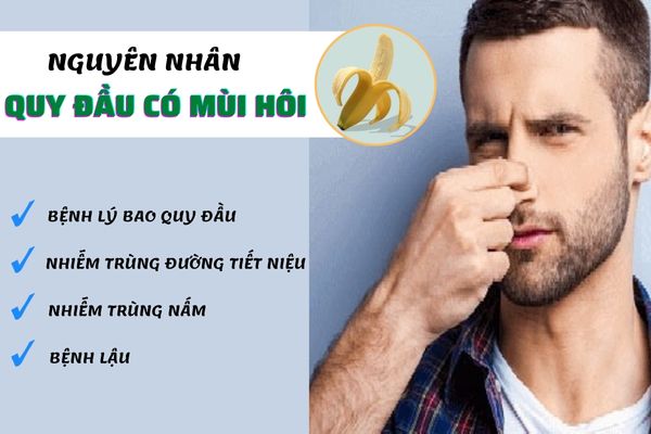 Quy đầu có mùi hôi do nhiều nguyên nhân khác nhau gây ra