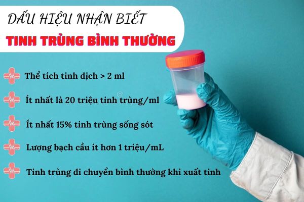 Các yếu tố nhận biết tinh trùng bình thường