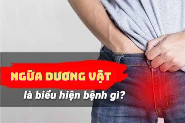 Nguyên nhân ngứa dương vật ở nam giới – hỗ trợ điều trị hiệu quả