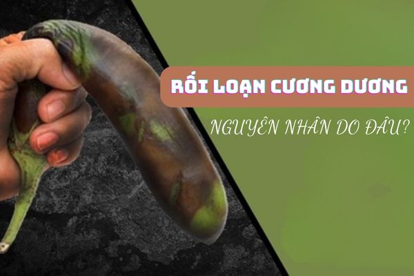 Tìm hiểu nguyên nhân rối loạn cương dương phổ biến ở nam giới