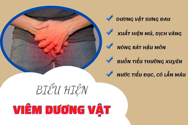 Viêm dương vật có những biểu hiện bệnh dễ dàng nhận biết