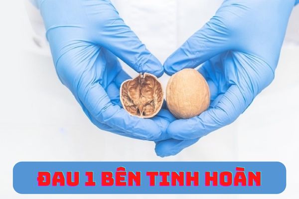 Tại sao xuất hiện tình trạng đau 1 bên tinh hoàn ở phái mạnh?