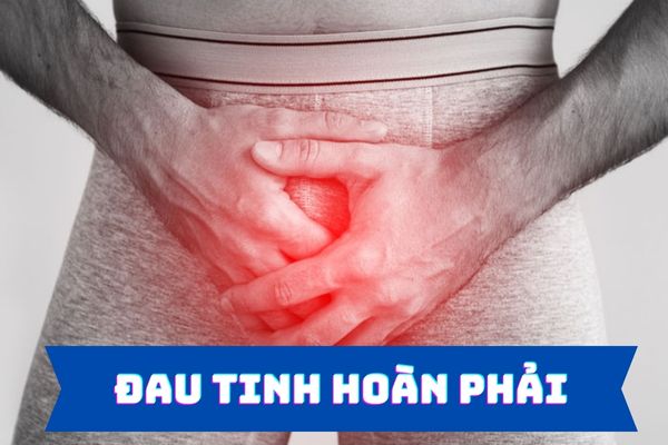 Đau tinh hoàn phải nguyên nhân do đâu?