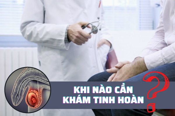 Khi nào nên khám tinh hoàn? Địa chỉ thăm khám uy tín, giá tốt