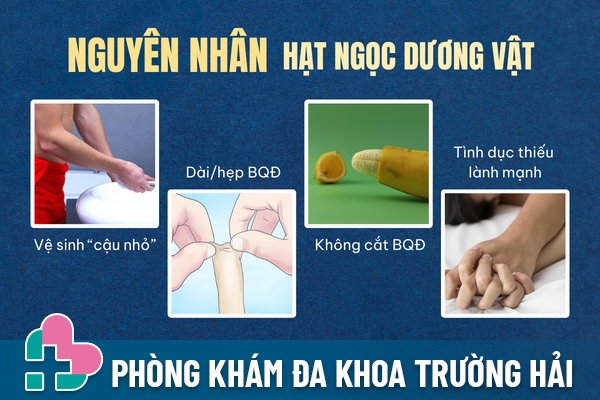 Nguyen-nhan-hat-ngoc-duong-vat