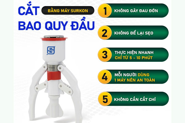 Cat-bao-quy-dau