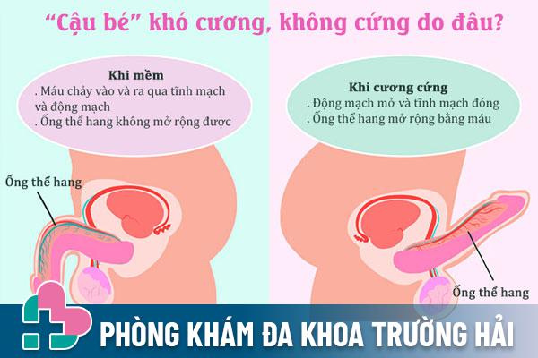 Duong-vat-kho-cuong-1